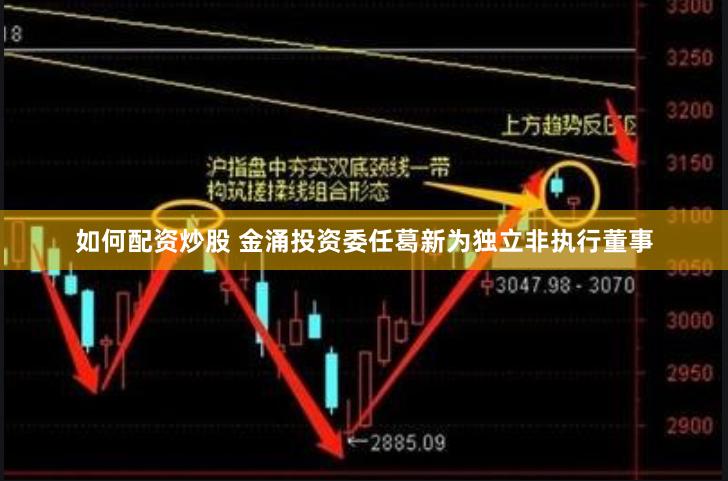 如何配资炒股 金涌投资委任葛新为独立非执行董事